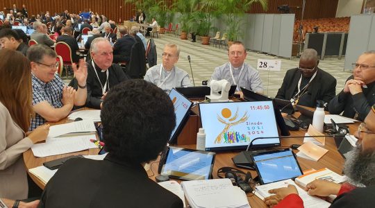 Nederlandse bisschoppen sturen verslagen van synodegesprekken naar Rome