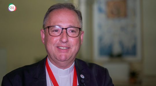 Video: mgr. Woorts en mgr. Hoogenboom over Romebedevaart