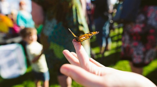 Innerlijk uitrusten in de zomervakantie