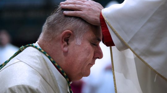 Mgr. Cornelissen gewijd in kathedraal Groningen
