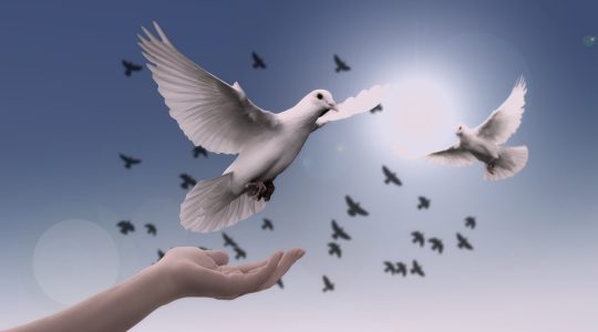 Eucharistische gebedsestafette door Europa voor vrede